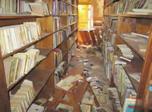 Damaged and fallen books in La bibliothèque de l’Alliance Française de Jacmel