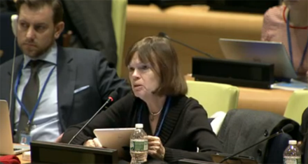 IFLA President-elect Donna Scheeder speaking at the 5th meeting, Post-2015 Intergovernmental Negotiations (Declaration Session) - General Assembly, Informal meeting