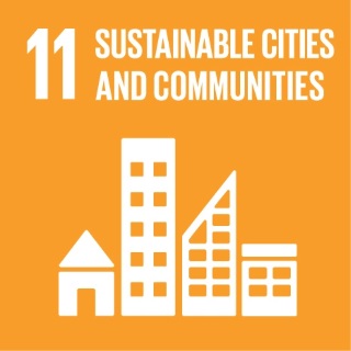 SDG11 Logo