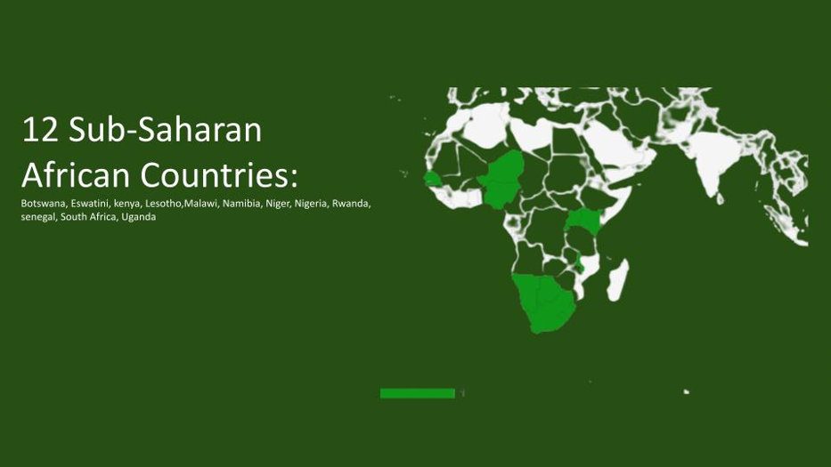 12 Sub-Saharan African Countries - Botswana, Eswatini, Kenya, Lesotho, Malawi, Namibia, Niger, Nigeria, Rwanda, Senegal, South Africa, Uganda