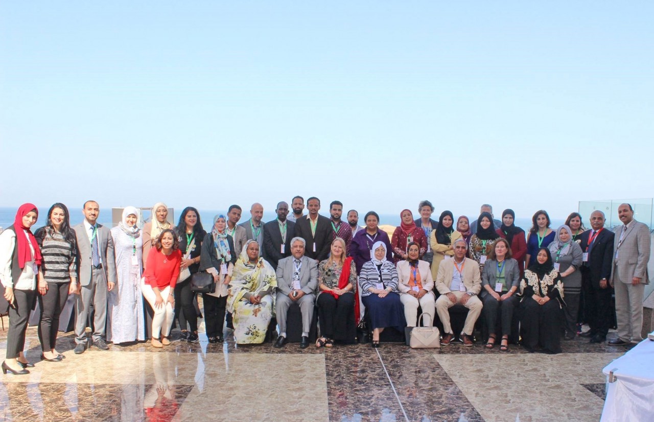 Participants in the INELI-MENA project