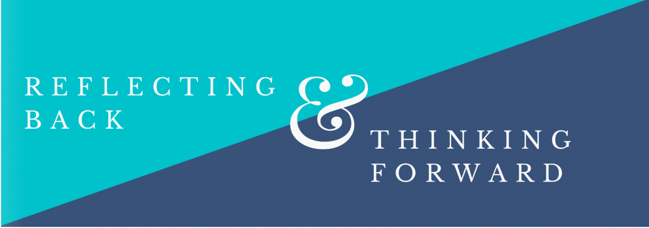 Reflecting Back and Thinking Forward Mid-term Seminar banner