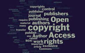 This image highlights some of the key concerns of library publishers